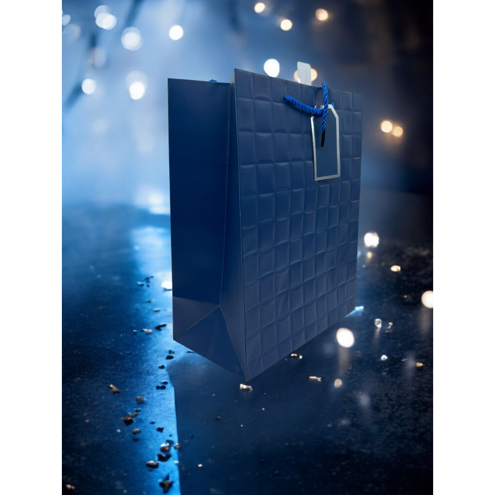 Торбички  L TA-30 CANP 27/33/14см 