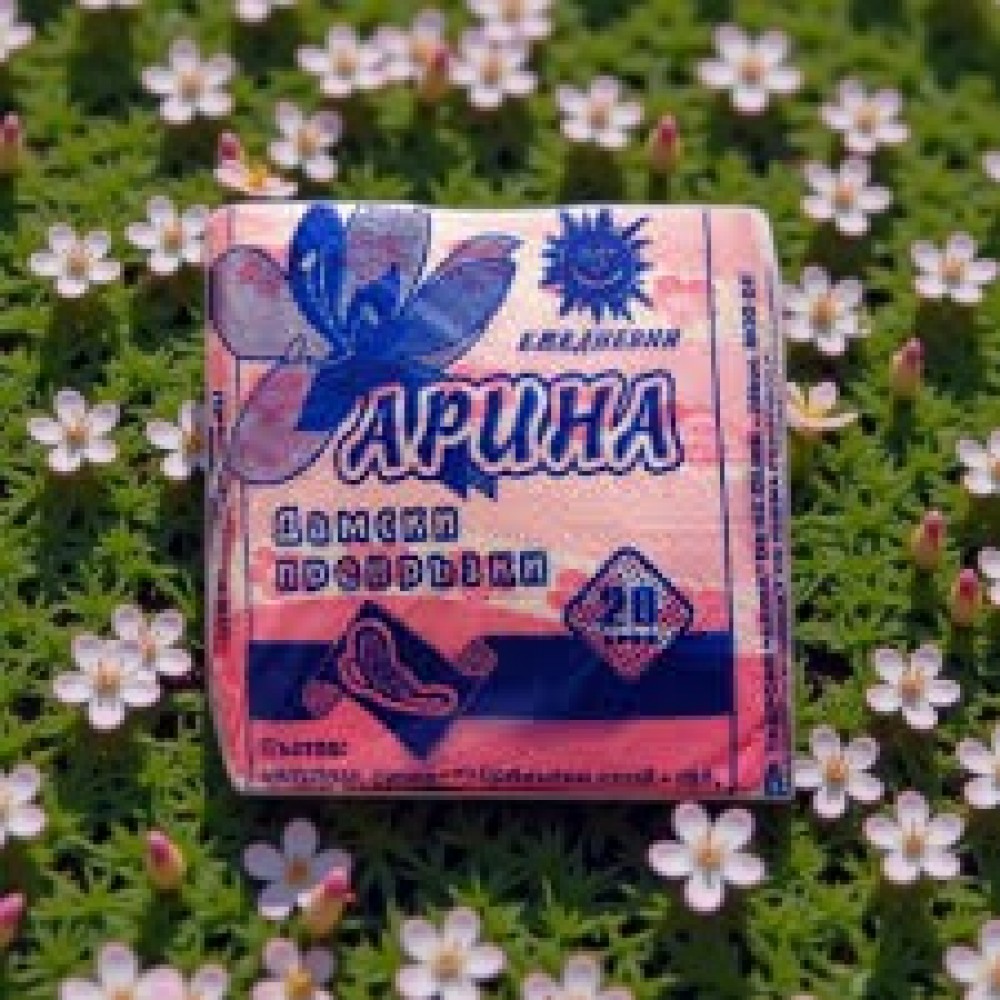 ПРЕВРЪЗКИ ЕЖЕДНЕВНИ 20 БР. КАРИНА Санитарни