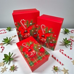 Кутии за подаръци ЧНГ 3бр.