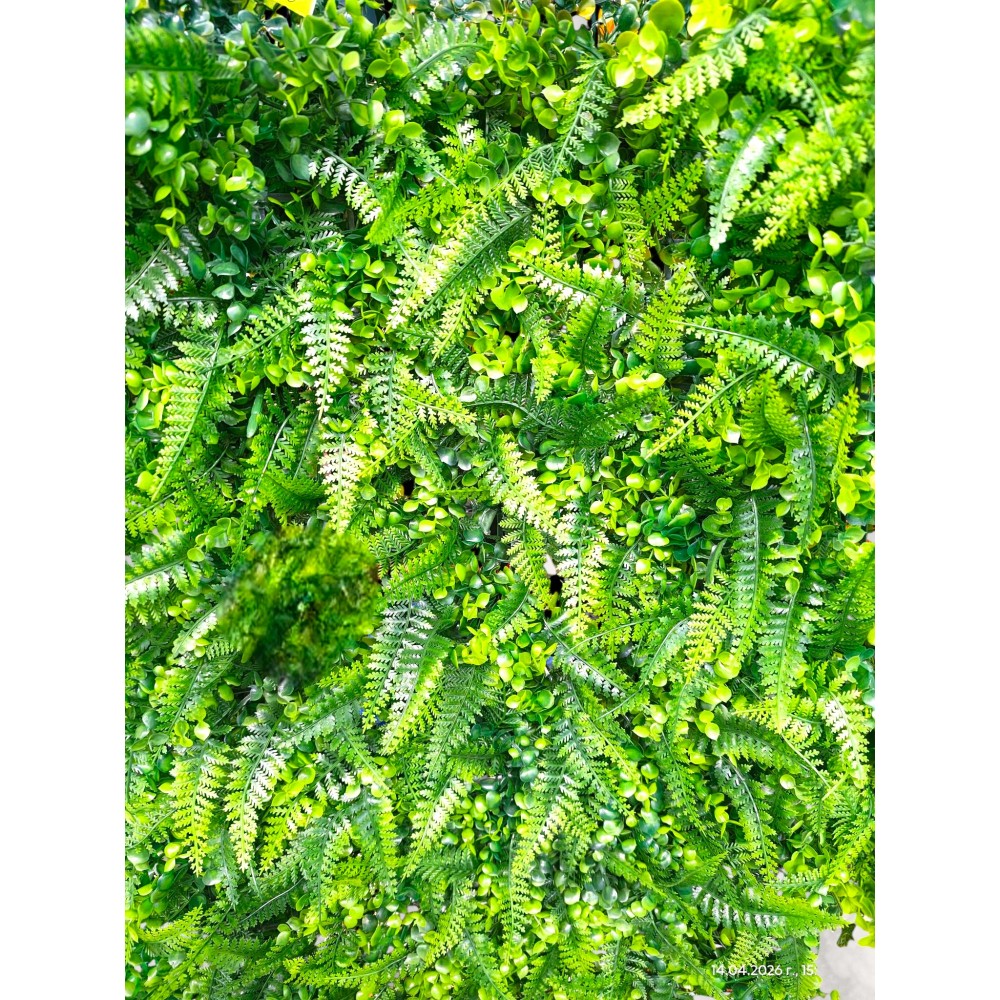 Декоративен зелен панел 60х40 см – Тропически микс с папрат 