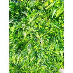 Декоративен зелен панел 60х40 см – Тропически микс с папрат