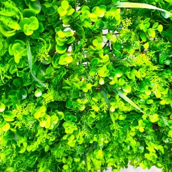 Декоративен зелен панел 60х40 см