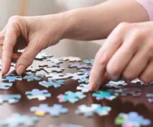 Играчки и Пъзели