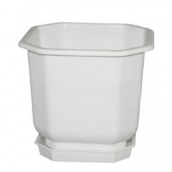 САКСИЯ ДРИНА 16/16 БЯЛА САКСИЯ ДРИНА 16/16 БЯЛА Саксии и сандъци