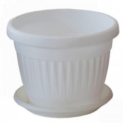 САКСИЯ Ф25 БЯЛА Саксии и сандъци