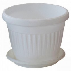 САКСИЯ Ф30 БЯЛА Саксии и сандъци