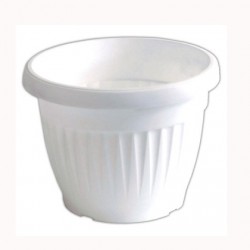 САКСИЯ РЕБРО Ф17 БЯЛА, МИЛ САКСИЯ РЕБРО Ф17 БЯЛА, МИЛ Саксии и сандъци