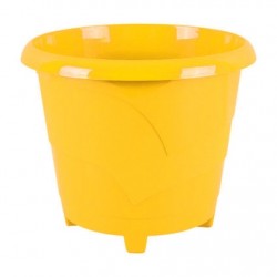 САКСИЯ МН Ф14 ЖЪЛТА