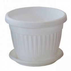 САКСИЯ Ф14 БЯЛА САКСИЯ Ф14 БЯЛА Саксии и сандъци